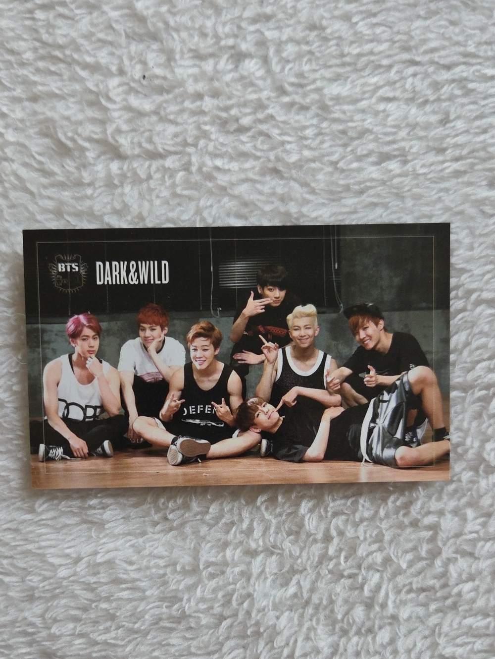 Group Photocard Dark And Wild